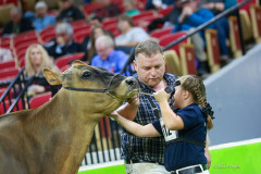 World Dairy Expo Jersey Show Pierre Boulet