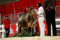 1_219RWF-CC-Glenholme-Jersey-RAWF-5888